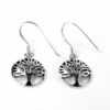 Boucles d'oreilles argent