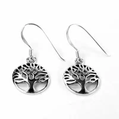 Boucles d'oreilles argent