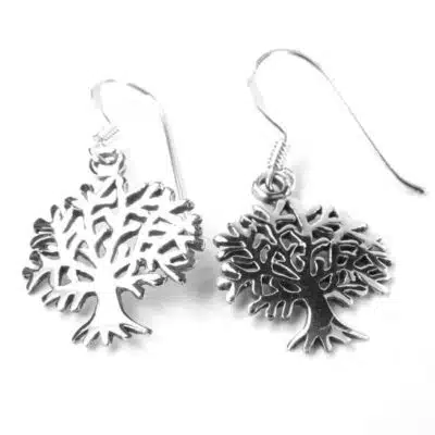 Boucles d'oreilles argent