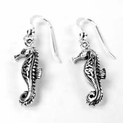 Boucles d'oreilles argent