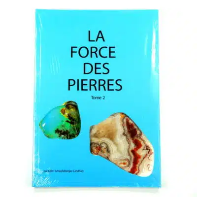 La force des pierres T2