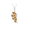 Pendentif ambre et argent