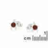 Clous d'oreilles étoile ambre argent rhodié – Image 2